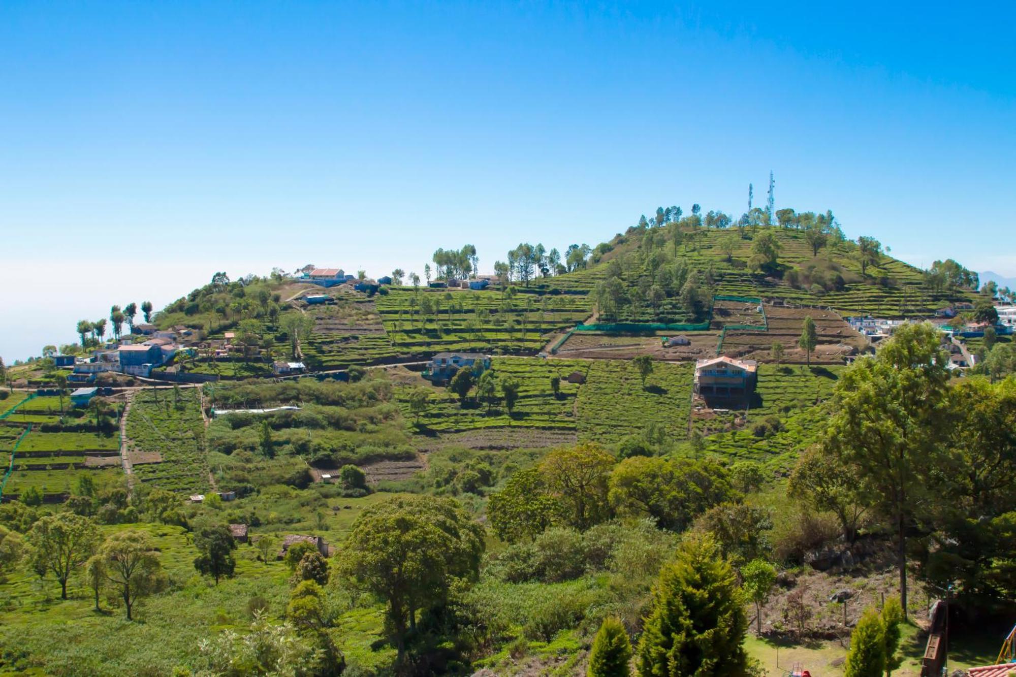 The Royale Ridge Hotel Kotagiri Luaran gambar