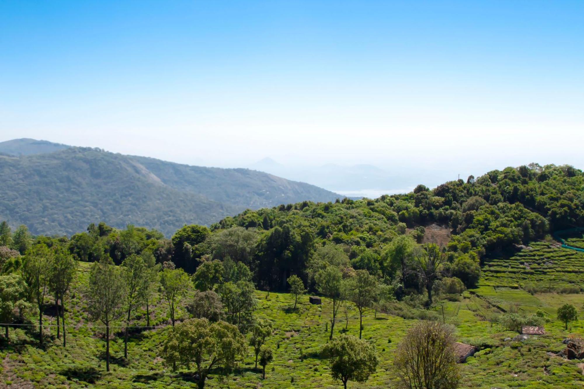 The Royale Ridge Hotel Kotagiri Luaran gambar